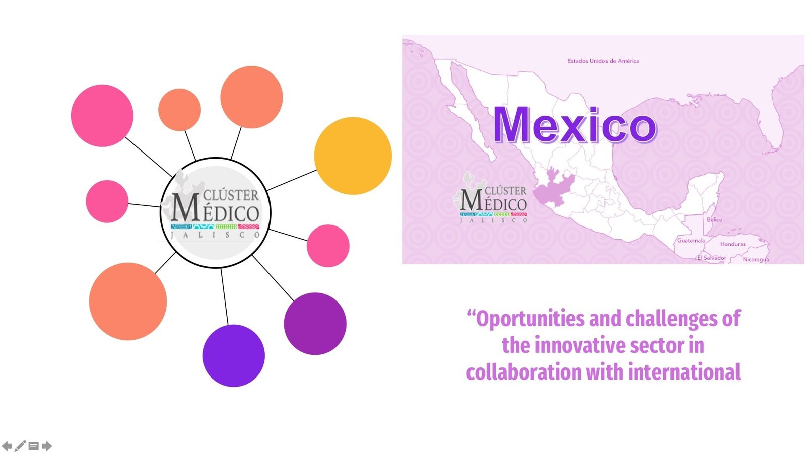 CLUSTER-MEDICO-DE-JALISCO-.-MEXICO-Georgina-Garcia