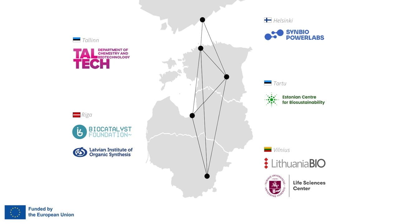 Vizualas_ENG - Donatas Staniulis