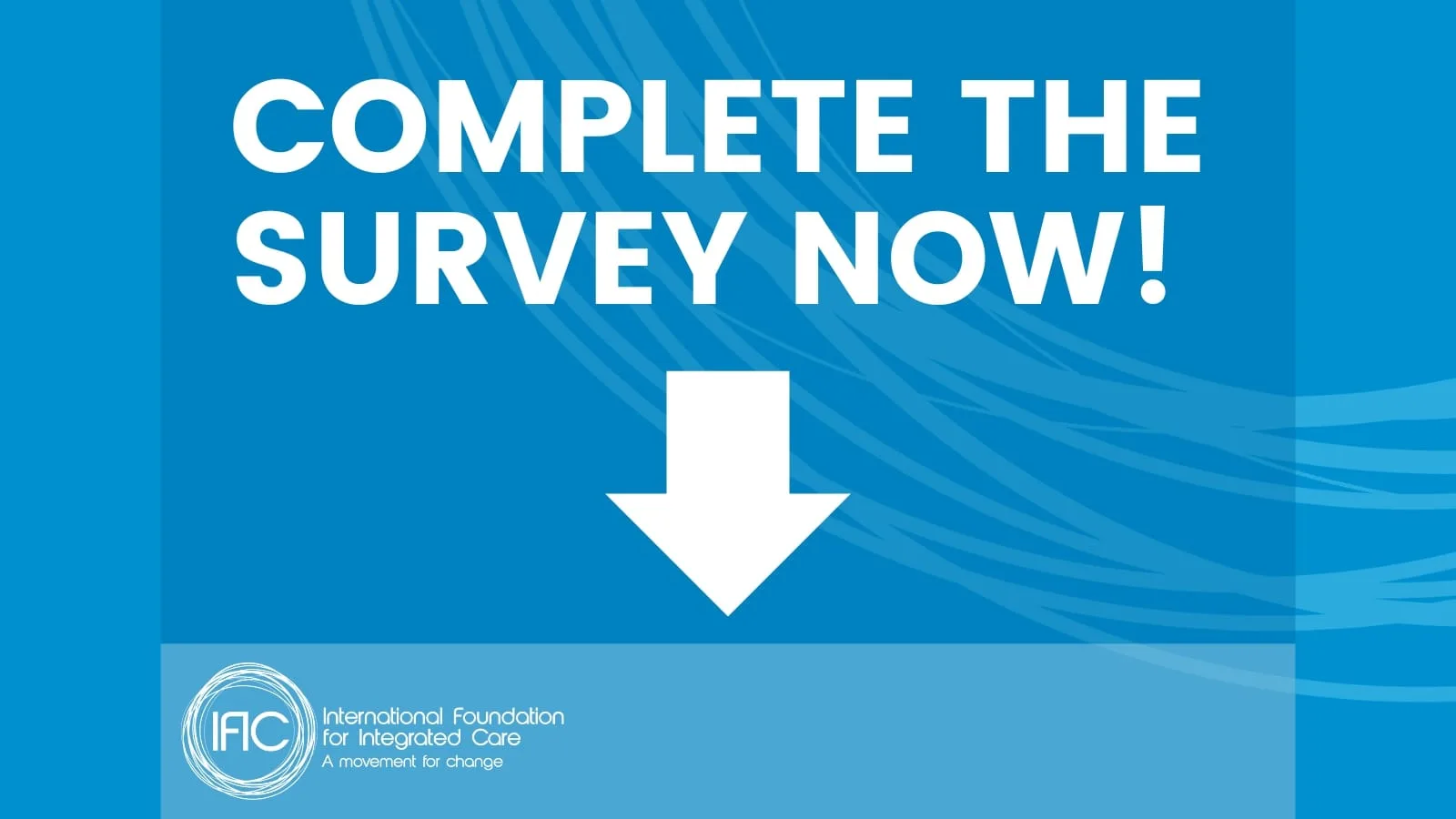 IFIC Annual Survey 2024 (5) - Niamh Daly Day