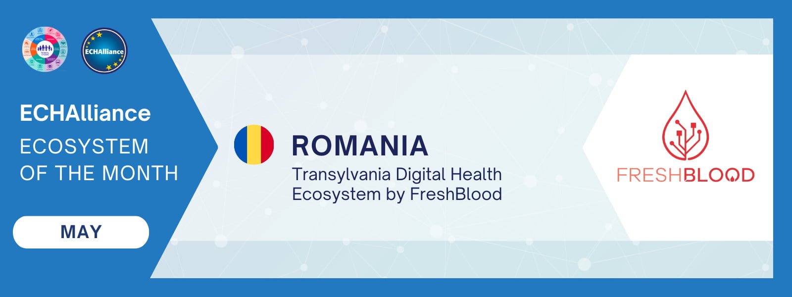 New Ecosystem of the Month (3)