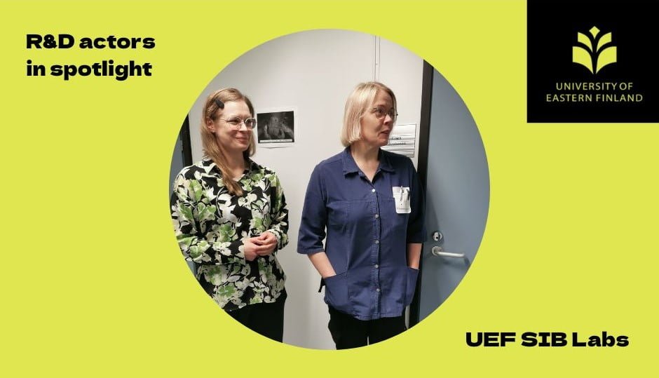 UEFSIBLabsKansi - Marja-Terttu Nyman-Lappalainen