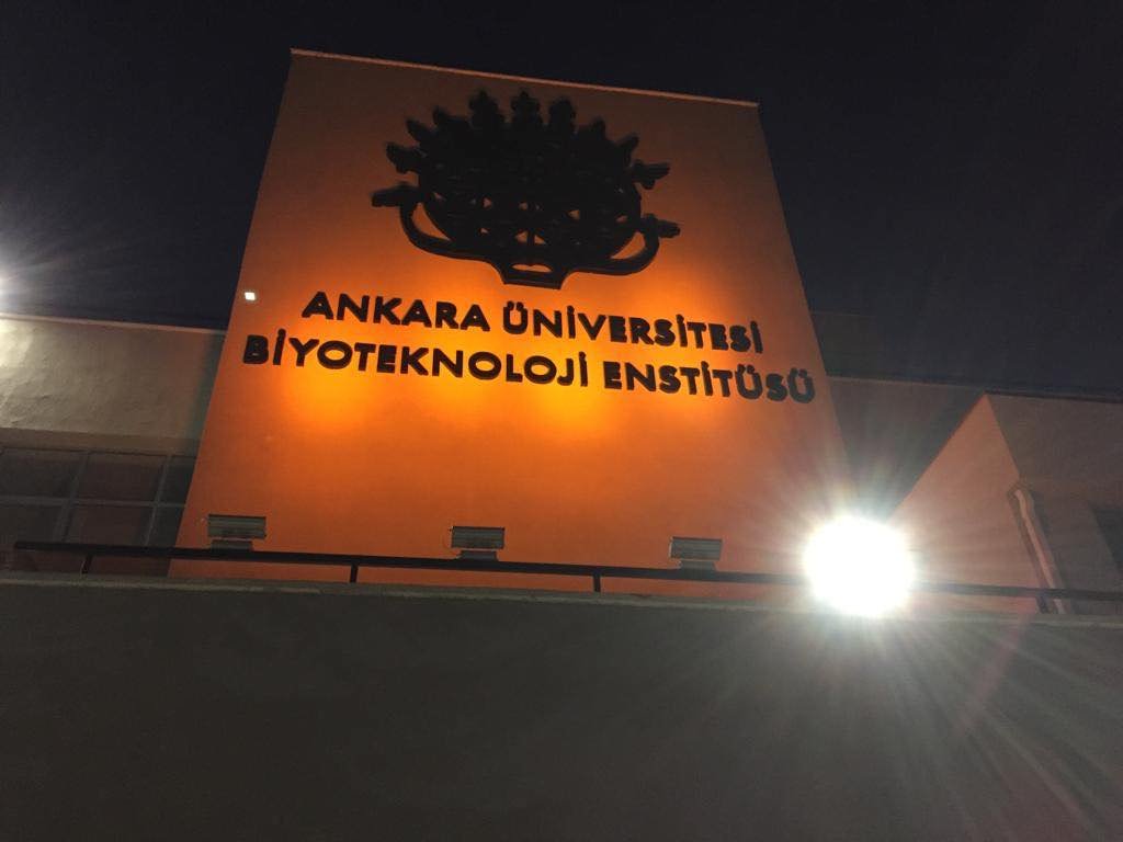 301158941_507746358019545_3314166315315551839_n - Özge Nur Kanat