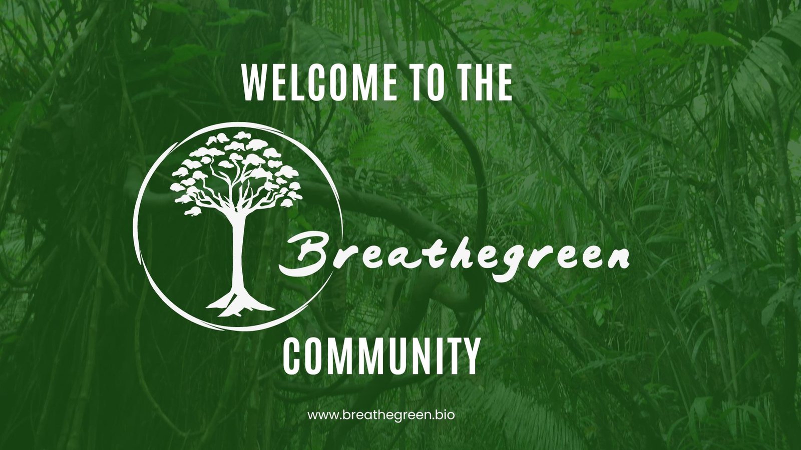 BREATHE GREEN - FUNDACIÓN PONDERA