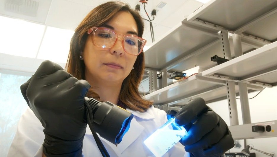 Christina Drake Kismet - Carol