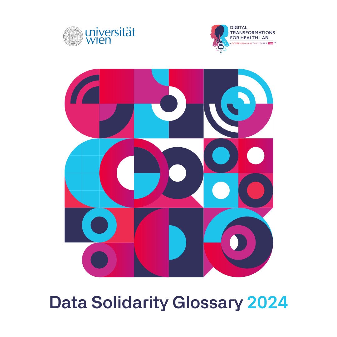 Data Solidarity Glossary 2024 - Tomiwa Akinsanya