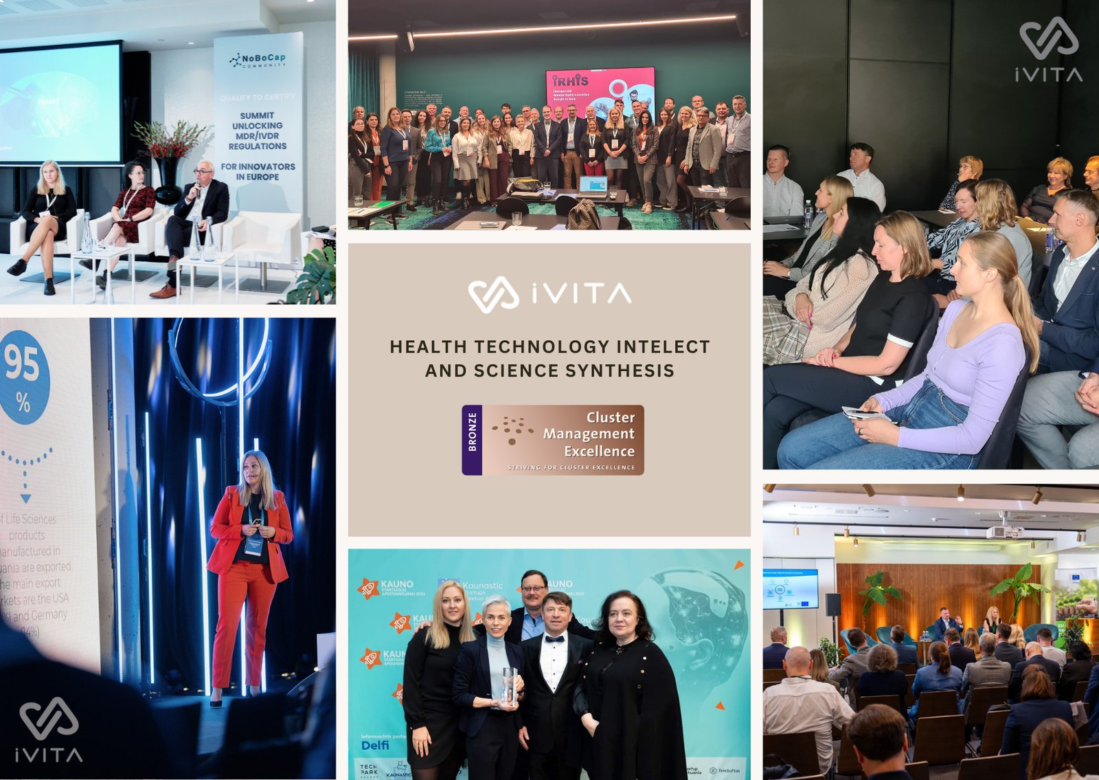 iVita ecosystem banner - Diana Margytė (1)