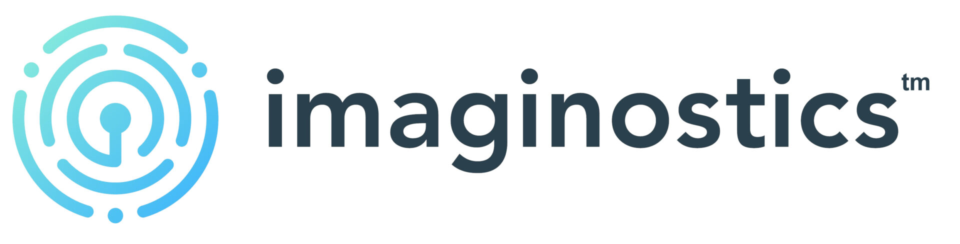 imaginostics tm logo dark letters (1)