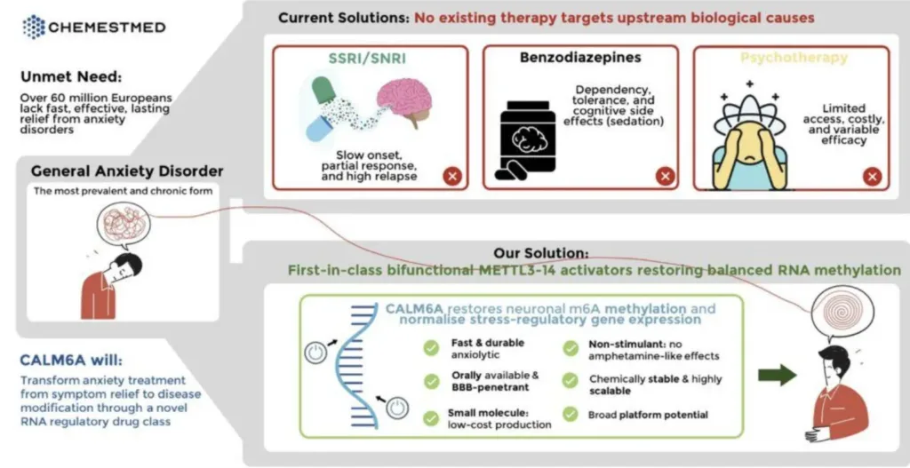 Chemestmed, RNA-Based Drug
