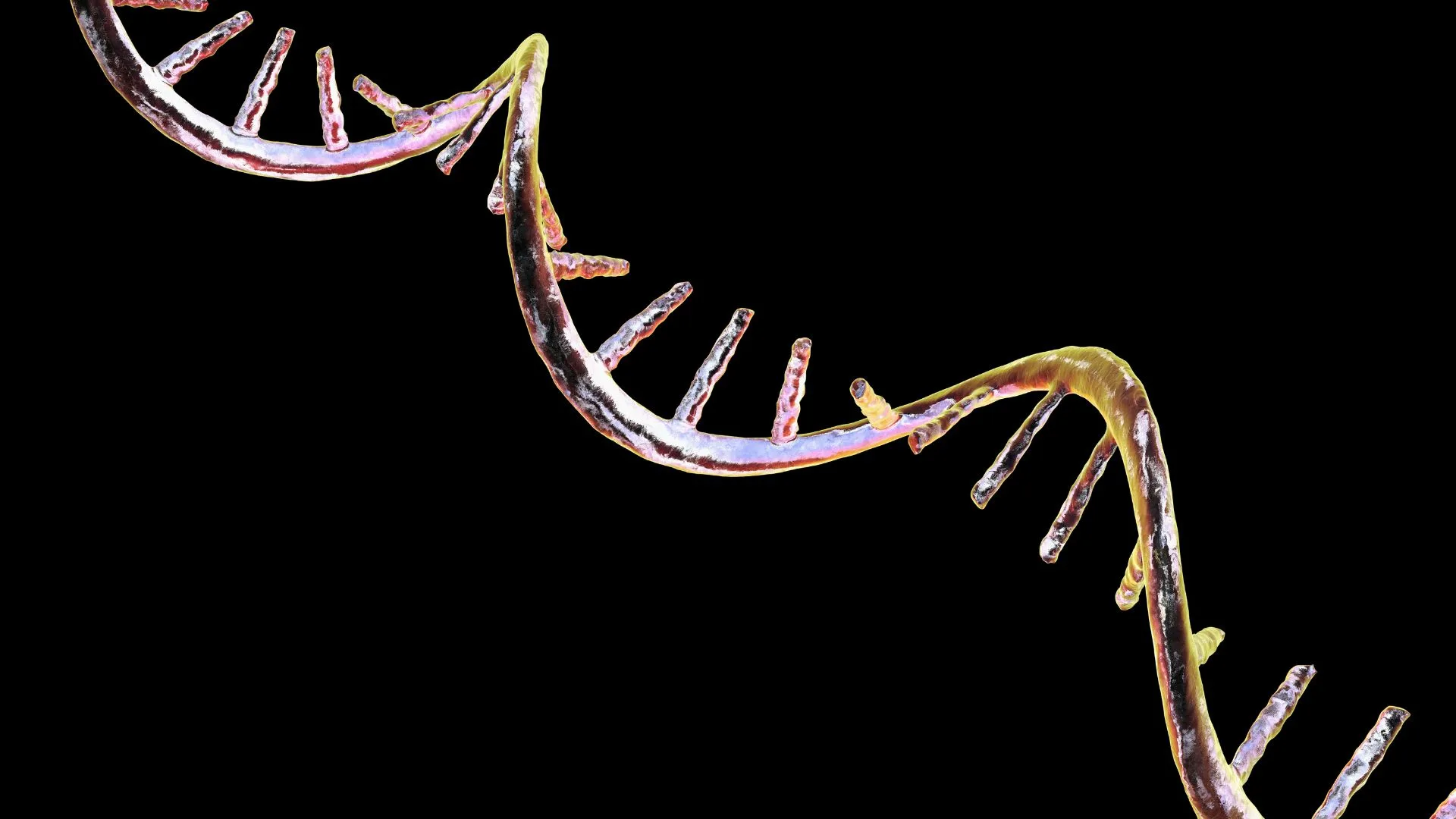 Chemestmed, RNA-Based Drug